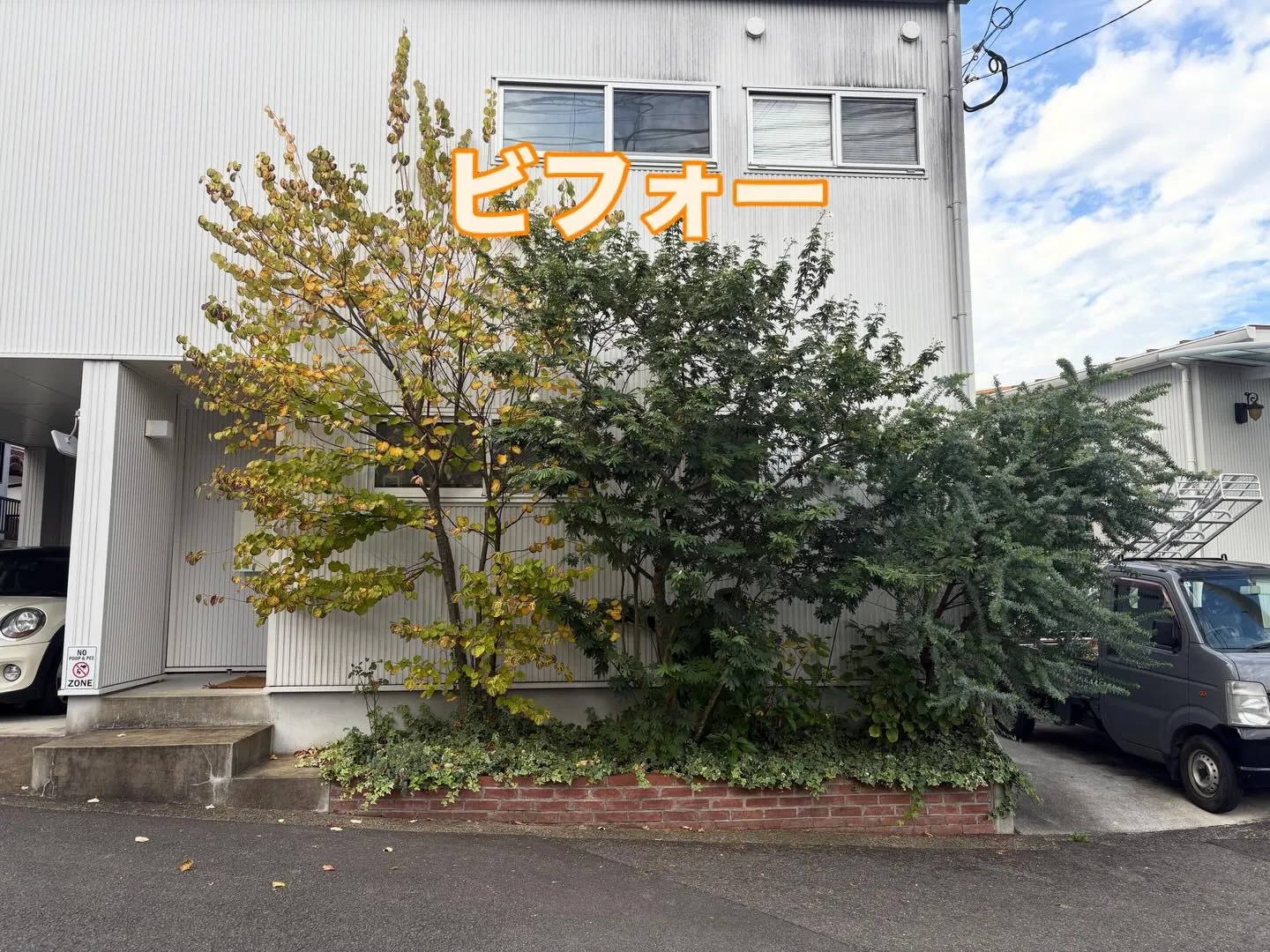 こんばんは❗️いなお造園です😀