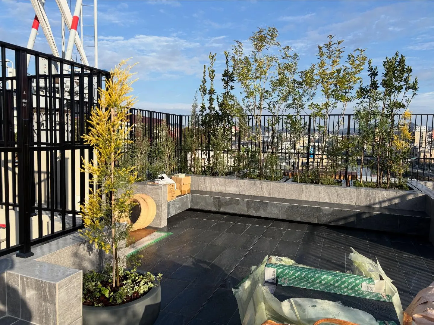 こんにちは🌞いなお造園です🧑🌾