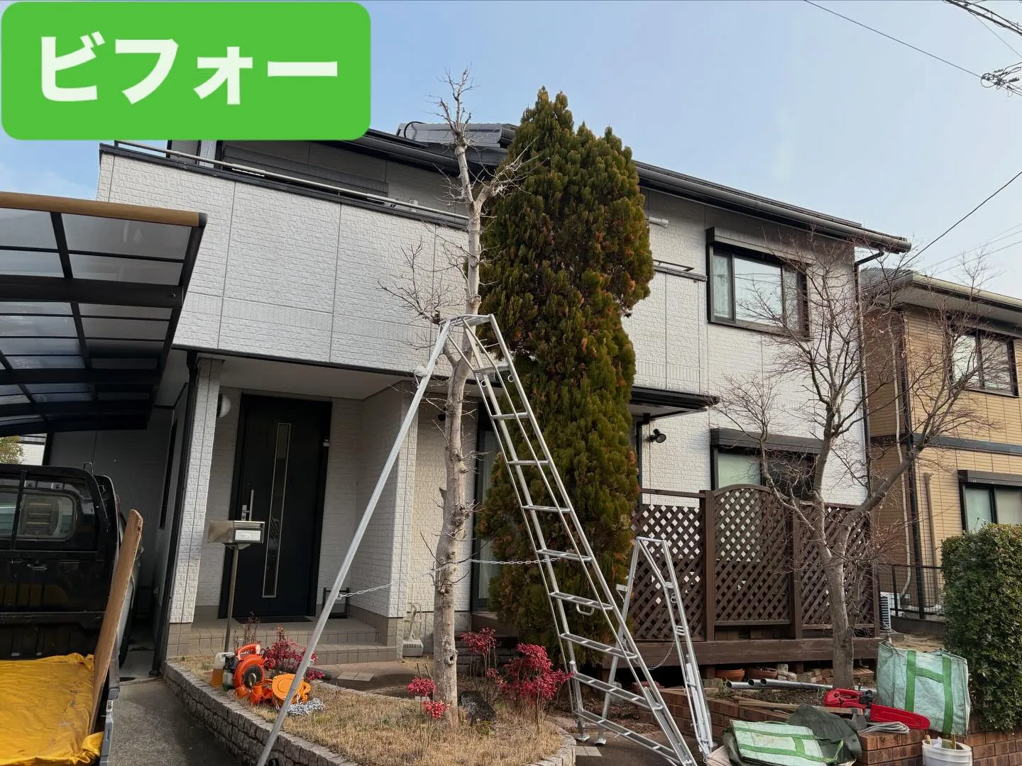 こんばんは❗️いなお造園です☺️